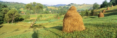 Framed Farm, Transylvania, Romania Print