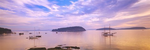 Framed Frenchman Bay, Bar Harbor, Maine, USA Print