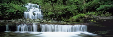 Framed Liffey Falls, Tasmania, Australia Print