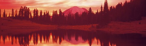 Framed Reflection of trees in water, Tipsoo Lake, Mt Rainier, Mt Rainier National Park, Washington State, USA Print