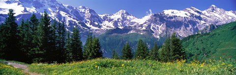 Framed Murren Switzerland Print