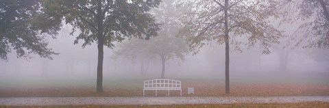 Framed Trees and Bench in Fog Schleissheim Germany Print