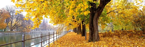 Framed Autumn Scene Munich Germany Print