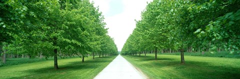 Framed Avenue at Chateau de Modave Ardennes Belgium Print