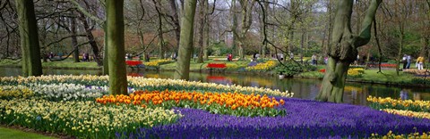 Framed Keukenhof Garden Lisse The Netherlands Print