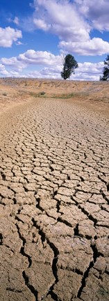Framed Drought, Australia Print