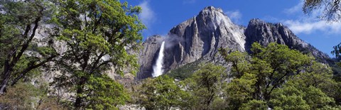 Framed Yosemite Falls Yosemite National Park CA Print