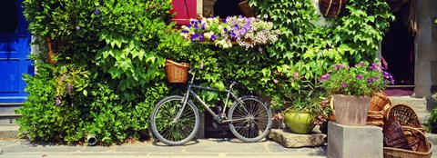 Framed Bicycle In Front Of Wall Covered With Plants And Flowers, Rochefort En Terre, France Print