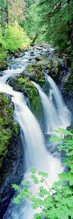 Framed Sol Duc Falls Olympic National Park WA Print