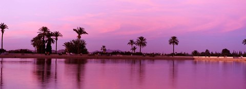 Framed Palm trees, Menara, Marrakech, Morocco Print