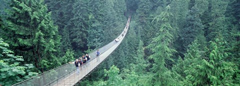 Framed Capilano Bridge, Suspended Walk, Vancouver, British Columbia, Canada Print