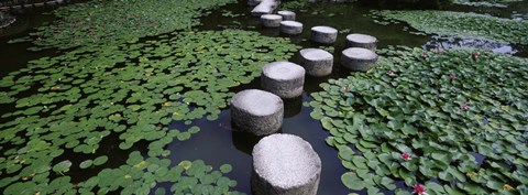 Framed Water Lilies In A Pond, Helan Shrine, Kyoto, Japan Print