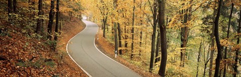 Framed Autumn trees along a road, Germany Print