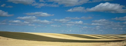 Framed Clouded sky over a striped field, Geraldine, Montana, USA Print