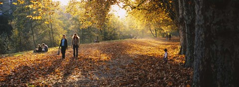 Framed Group Of People In A Park, Tuebingen, Baden-Wurttemberg, Germany Print