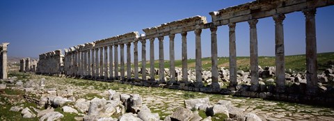 Framed Row of Columns, Cardo Maximus, Apamea, Syria Print