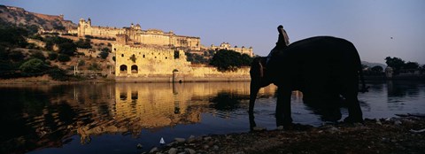 Framed Side profile of a man sitting on an elephant, Amber Fort, Jaipur, Rajasthan, India Print