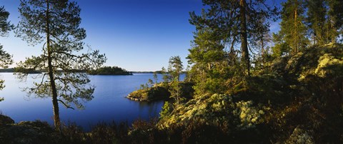 Framed Trees at the lakeside, Lake Saimaa, Puumala, Finland Print