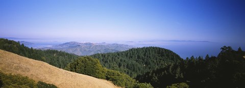 Framed High angle view of a forest, Mt Tamalpais, California, USA Print