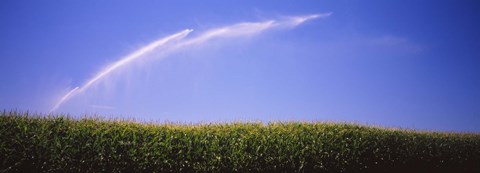 Framed Water being sprayed on a corn field, Washington State, USA Print