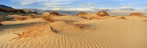 Framed Sand dunes in a national park, Mesquite Flat Dunes, Death Valley National Park, California, USA Print