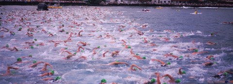Framed Triathlon athletes swimming in water in a race, Ironman, Kailua Kona, Hawaii, USA Print