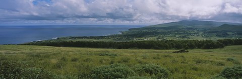 Framed High angle view of trees on a landscape, Easter Island, Chile Print