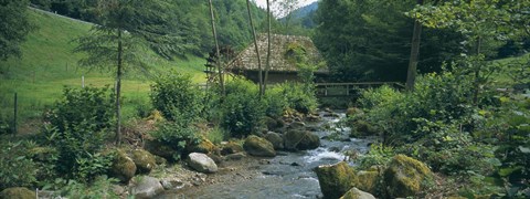 Framed River flowing through forest, Black Forest, Glottertal, Germany Print