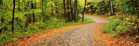 Framed Road passing through a forest, Country Road, Peacham, Caledonia County, Vermont, USA Print
