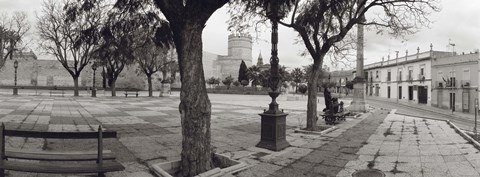 Framed Trees in front of a building, Alameda Vieja, Jerez, Cadiz, Spain Print