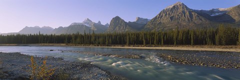Framed Trees along a river with a mountain range in the background, Athabasca River, Jasper National Park, Alberta, Canada Print
