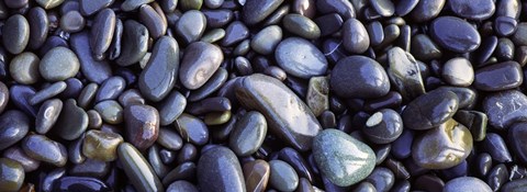Framed Close-up of pebbles, Sandymouth Beach, Cornwall, England Print