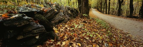 Framed Road passing through a forest, White Mountains, New Hampshire Print