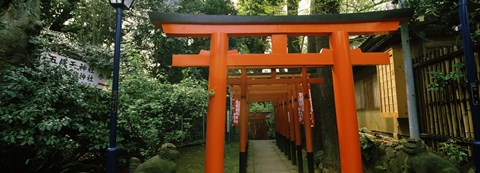 Framed Torii Gates in a park, Ueno Park, Taito, Tokyo Prefecture, Kanto Region, Japan Print