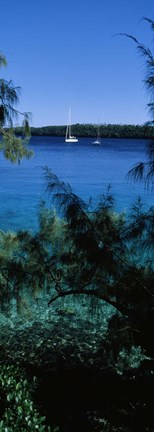 Framed Sailboats in the ocean, Kingdom of Tonga, Vava&#39;u Group of Islands, South Pacific Print