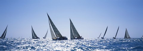 Framed Sailboats racing in the sea, Farr 40&#39;s race during Key West Race Week, Key West Florida, 2000 Print