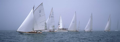 Framed Yachts racing in the ocean, Annual Museum Of Yachting Classic Yacht Regatta, Newport, Newport County, Rhode Island, USA Print