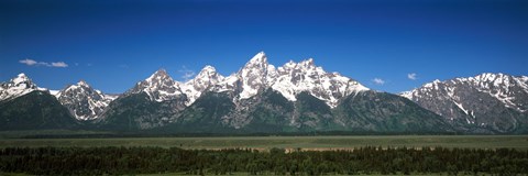 Framed Trees in a forest with mountains in the background, Teton Point Turnout, Teton Range, Grand Teton National Park, Wyoming, USA Print