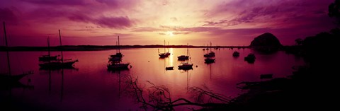 Framed Boats in the sea, Morro Bay, San Luis Obispo County, California, USA Print