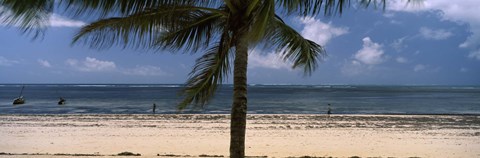 Framed Palm tree on the beach, Malindi, Coast Province, Kenya Print