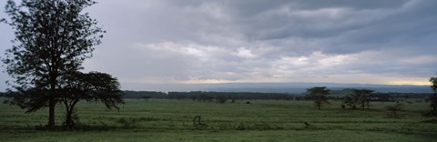 Framed Lake Nakuru National Park, Great Rift Valley, Kenya Print