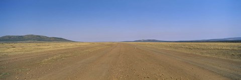 Framed Dirt road passing through a landscape, Masai Mara National Reserve, Great Rift Valley, Kenya Print