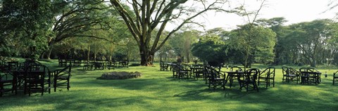Framed Chairs and tables in a lawn, Lake Naivasha Country Club, Great Rift Valley, Kenya Print