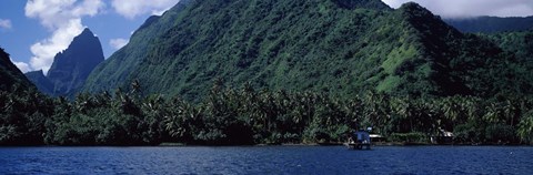 Framed Trees on the coast, Tahiti, French Polynesia Print