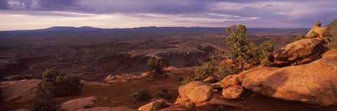 Framed Canyonlands National Park, San Juan County, Utah Print