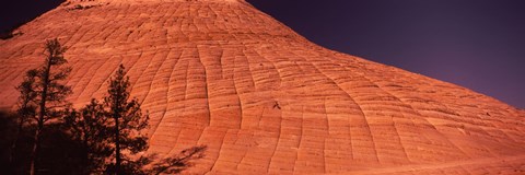 Framed Shadow of trees on a rock formation, Checkerboard Mesa, Zion National Park, Utah, USA Print