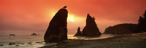 Framed Silhouette of seastacks at sunset, Olympic National Park, Washington State Print