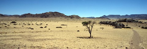 Framed Horse ranch on a homestead, Namibia Print
