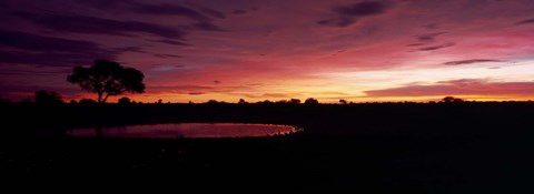 Framed Waterhole in a forest, Okaukuejo, Etosha National Park, Kunene Region, Namibia Print