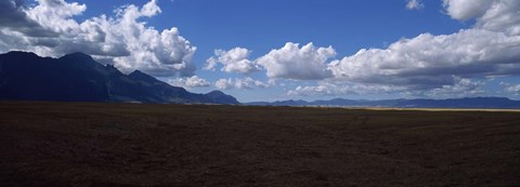 Framed Cattle pasture, Highway N7 from cape town to Namibia towards Citrusdal, Western Cape Province, South Africa Print